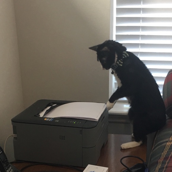 Stop in and say hello! Hello 👋 - Picture 2 of 2